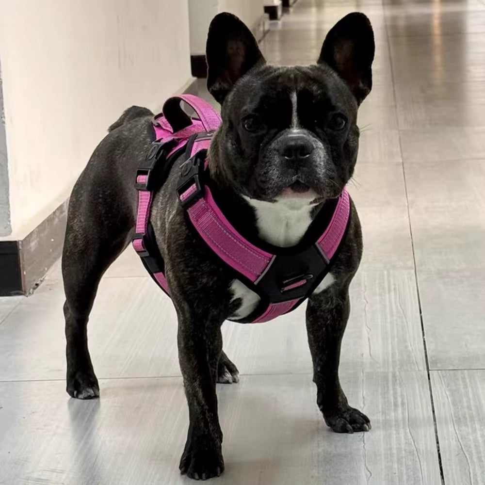 Portable Big Dog Harness Vest Durable Sturdy Pet Harnesses for Medium Large Dogs Pitbull Shepherd Labrador Mascotas Accessories